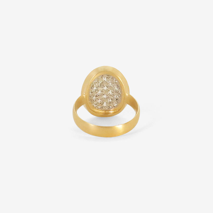 NIKOLLE RADI 18K & PLATINUM OVAL DAMASK RING WITH CHAMPAGNE DIAMONDS, .42CT