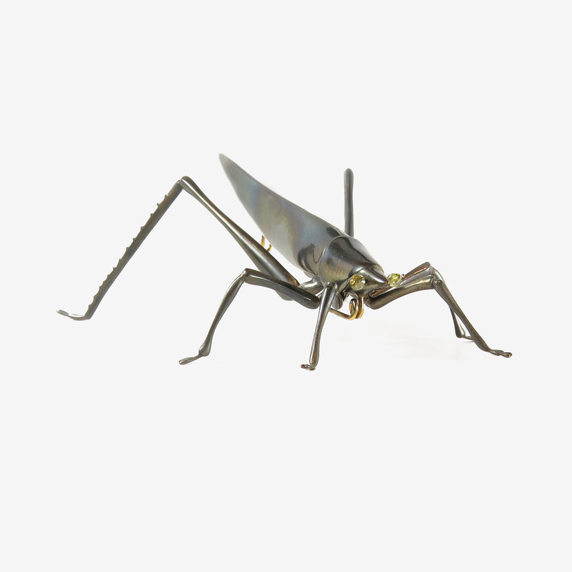 GABRIELLA KISS OXIDIZED BRONZE GRASSHOPPER PIN WITH DIAMOND EYES