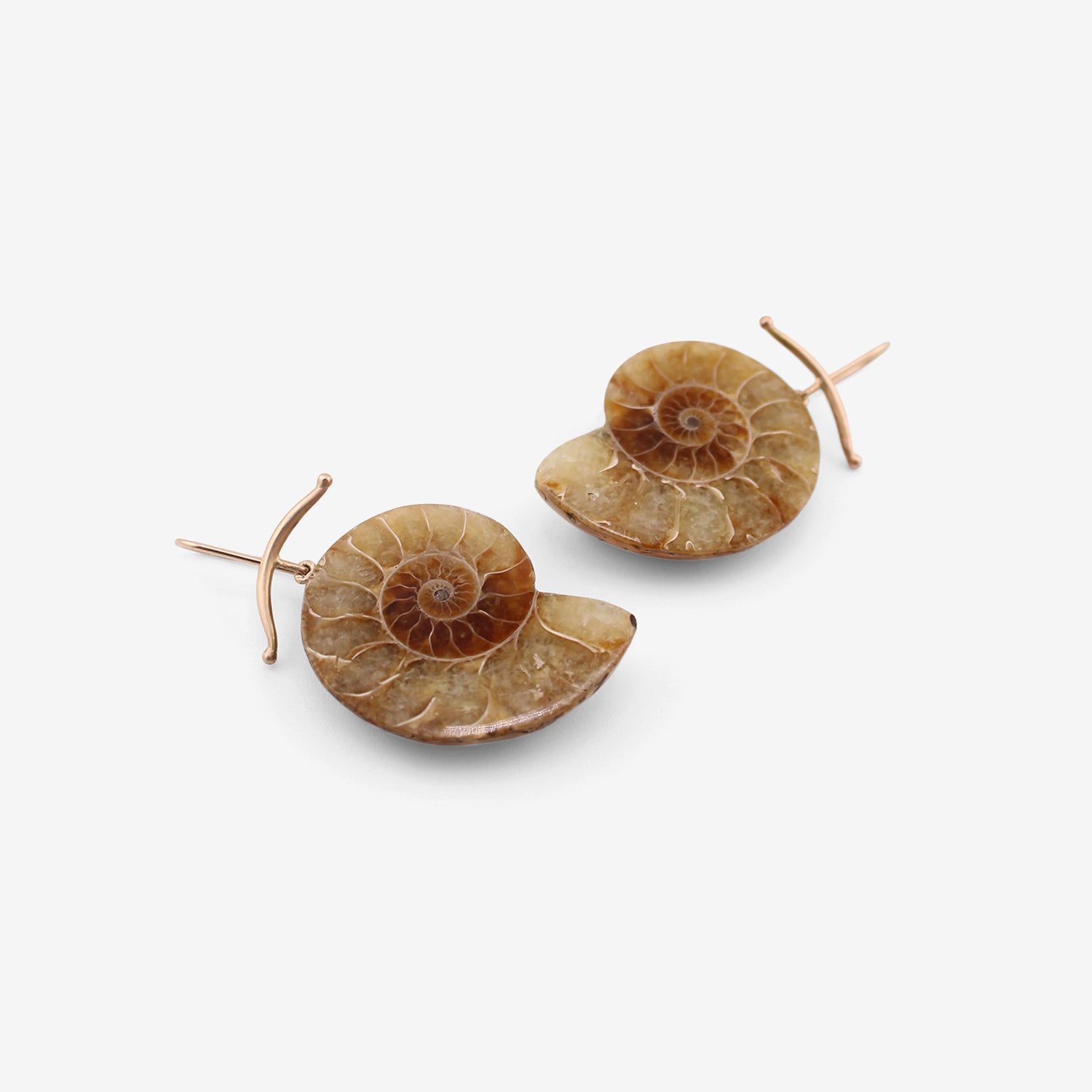 GABRIELLA KISS 14K & AMMONITE EARRINGS