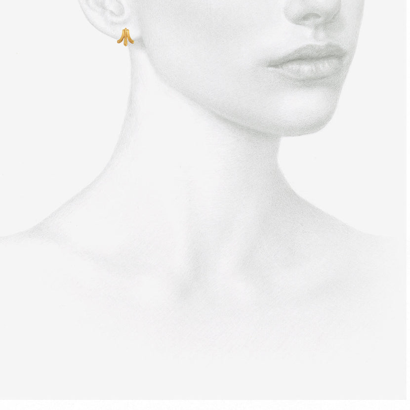 PROUNIS 22K OSIER STUDS
