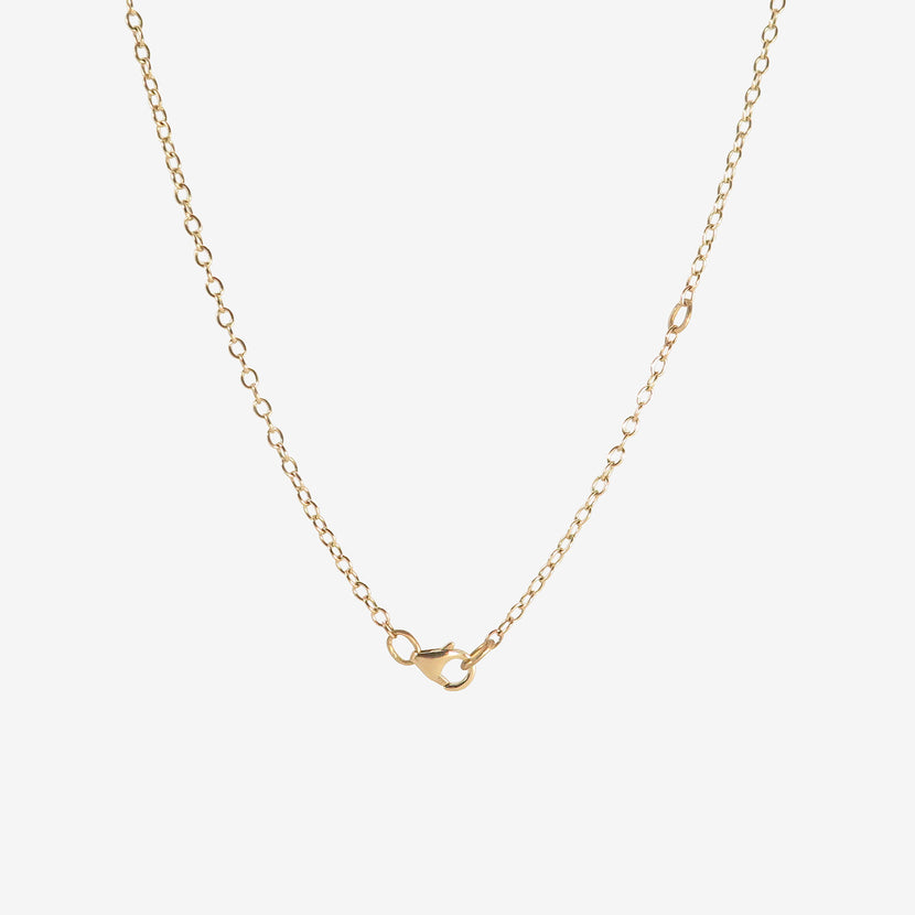 ROSANNE PUGLIESE 14K ADJUSTABLE MEDIUM CHAIN, 21 3/4"