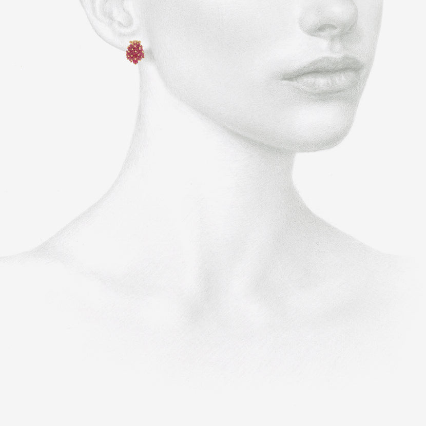 アクセサリー TED MUHLING Red Berries Earrings TED MUEHLING 14K & CARNELIAN BERRIES
