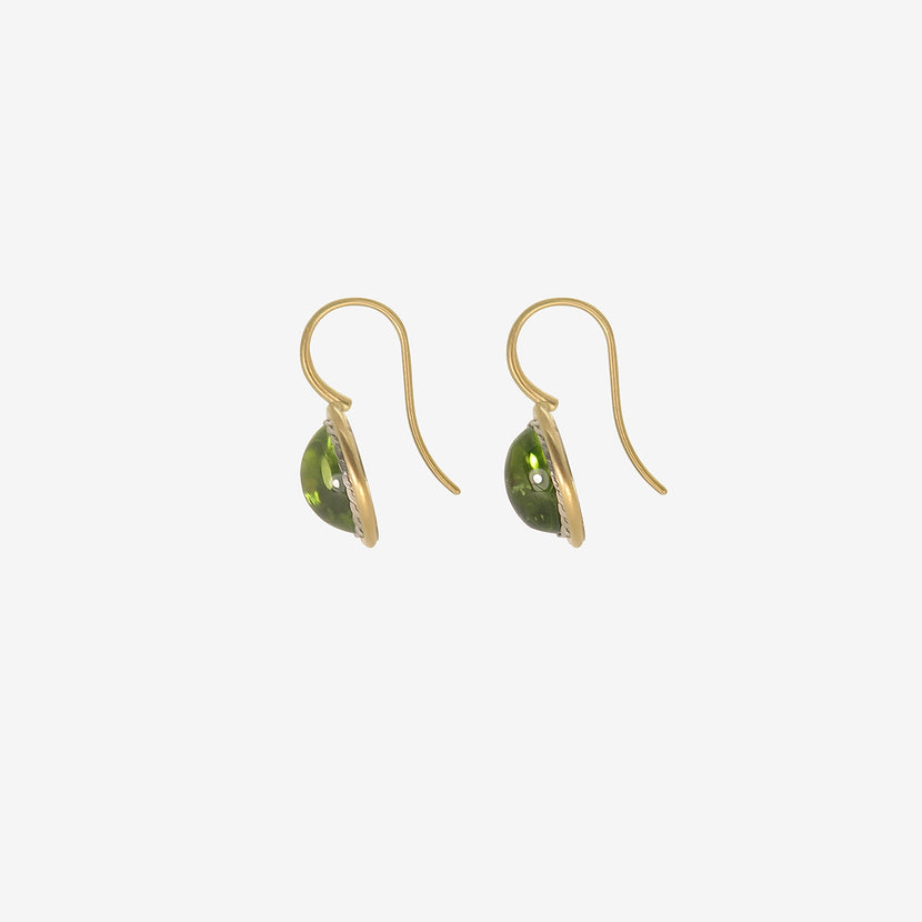 Pittosporum Picolor online Earrings